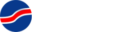Stone Soap logo